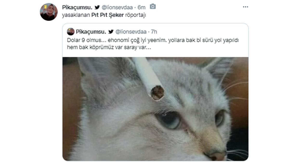 Cumhurbaşkanı Erdoğan’ın ‘Pıt Pıt Şeker’li Paylaşımı, Twitter’da Gündem Oldu: İşte Gelen Tepkiler