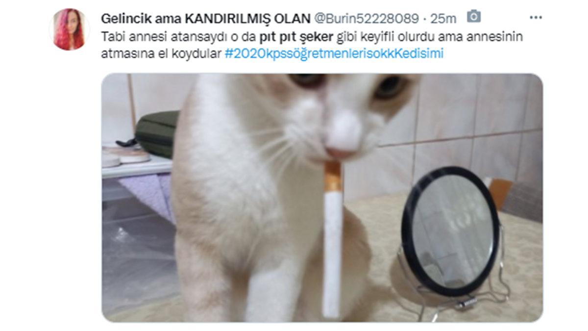 Cumhurbaşkanı Erdoğan’ın ‘Pıt Pıt Şeker’li Paylaşımı, Twitter’da Gündem Oldu: İşte Gelen Tepkiler