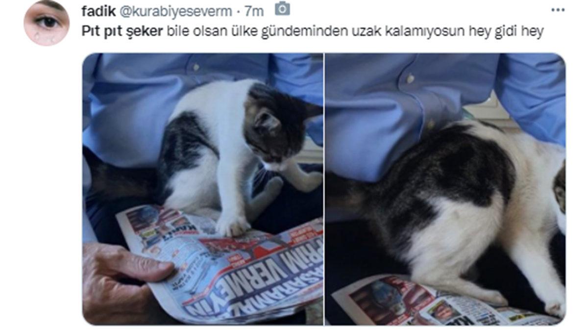 Cumhurbaşkanı Erdoğan’ın ‘Pıt Pıt Şeker’li Paylaşımı, Twitter’da Gündem Oldu: İşte Gelen Tepkiler