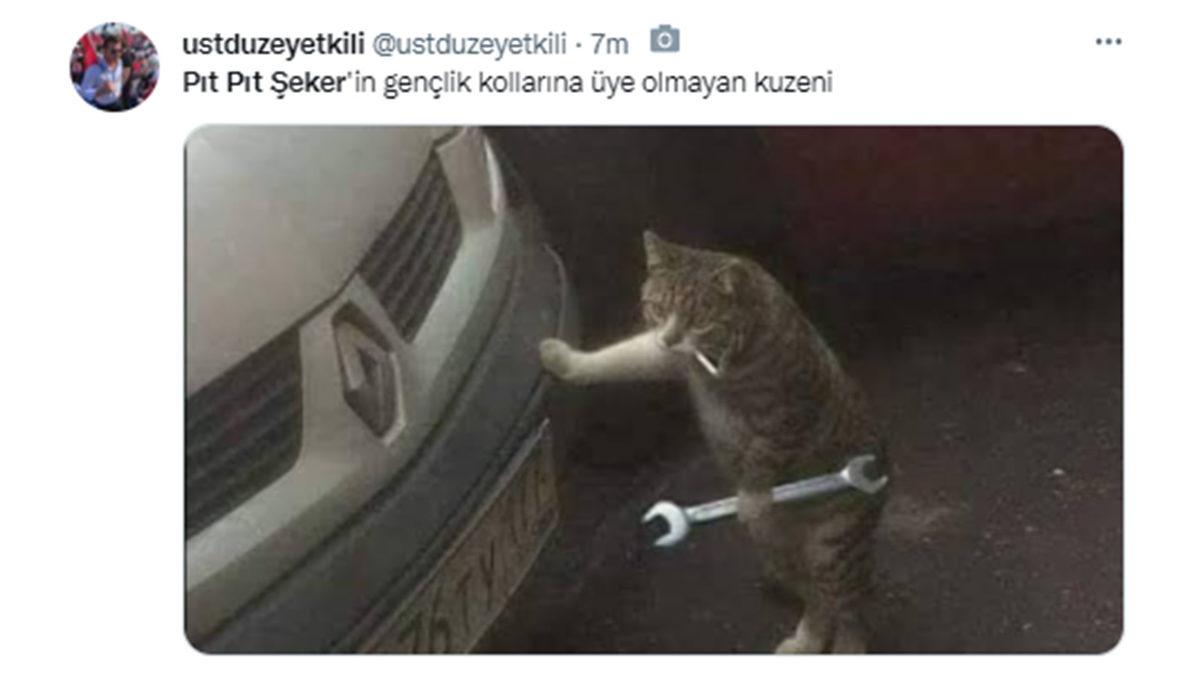 Cumhurbaşkanı Erdoğan’ın ‘Pıt Pıt Şeker’li Paylaşımı, Twitter’da Gündem Oldu: İşte Gelen Tepkiler