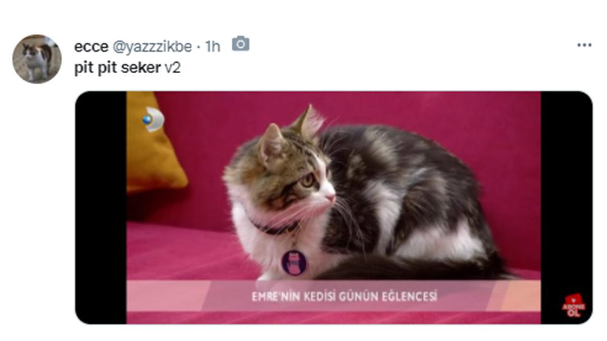 Cumhurbaşkanı Erdoğan’ın ‘Pıt Pıt Şeker’li Paylaşımı, Twitter’da Gündem Oldu: İşte Gelen Tepkiler