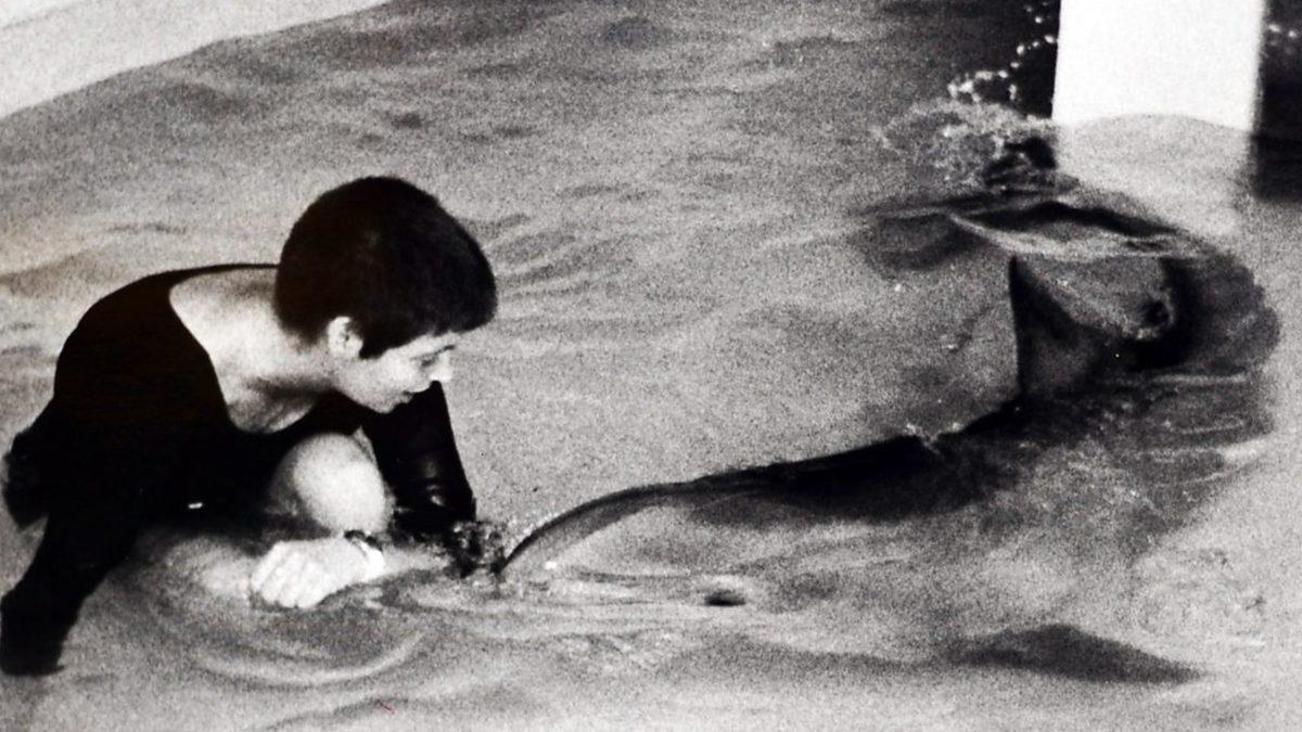 Bir Bilim İnsanı, Üzerinde Araştırma Yaptığı Yunus ile ’Cinsel İlişkiye’ Girdiğini İtiraf Etti