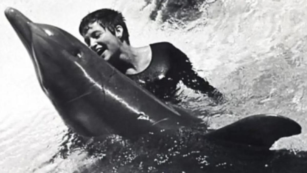 Bir Bilim İnsanı, Üzerinde Araştırma Yaptığı Yunus ile ’Cinsel İlişkiye’ Girdiğini İtiraf Etti