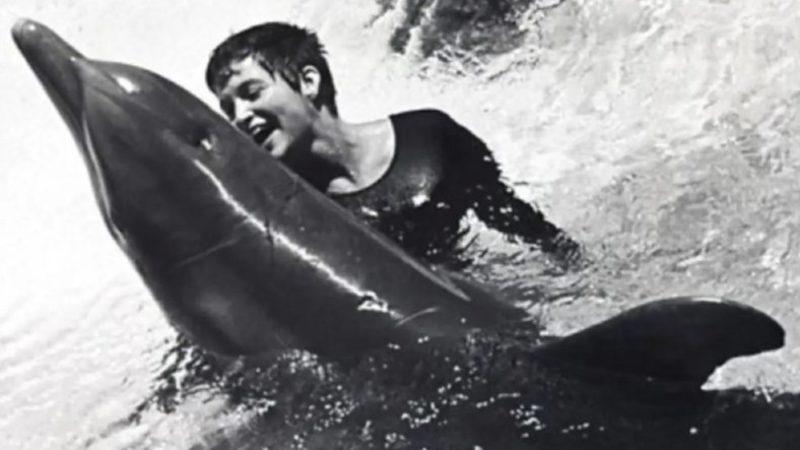 Bir Bilim İnsanı, Üzerinde Araştırma Yaptığı Yunus ile ’Cinsel İlişkiye’ Girdiğini İtiraf Etti