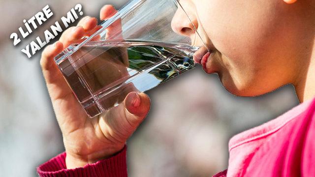 Bilimin Söylediği Gibi Gerçekten Günde 2 Litre Su İçmemiz Gerekiyor mu?