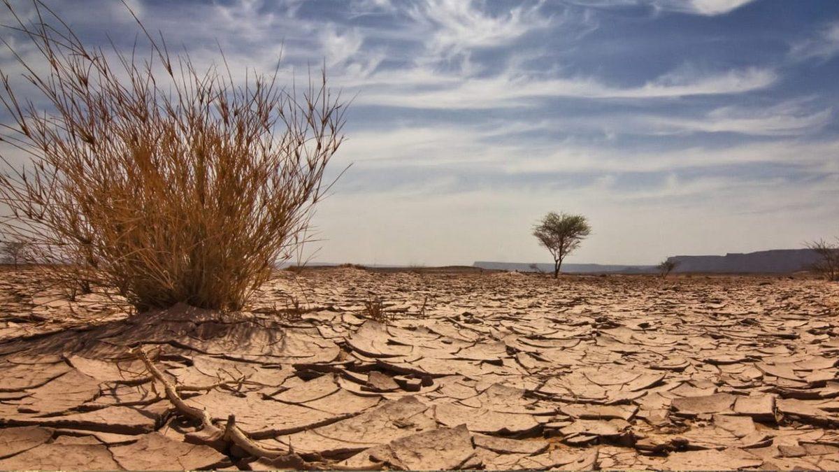 Dünyayı En Çok Kirleten Ülkeler Açıklandı: Peki Türkiye Kaçıncı Sırada?