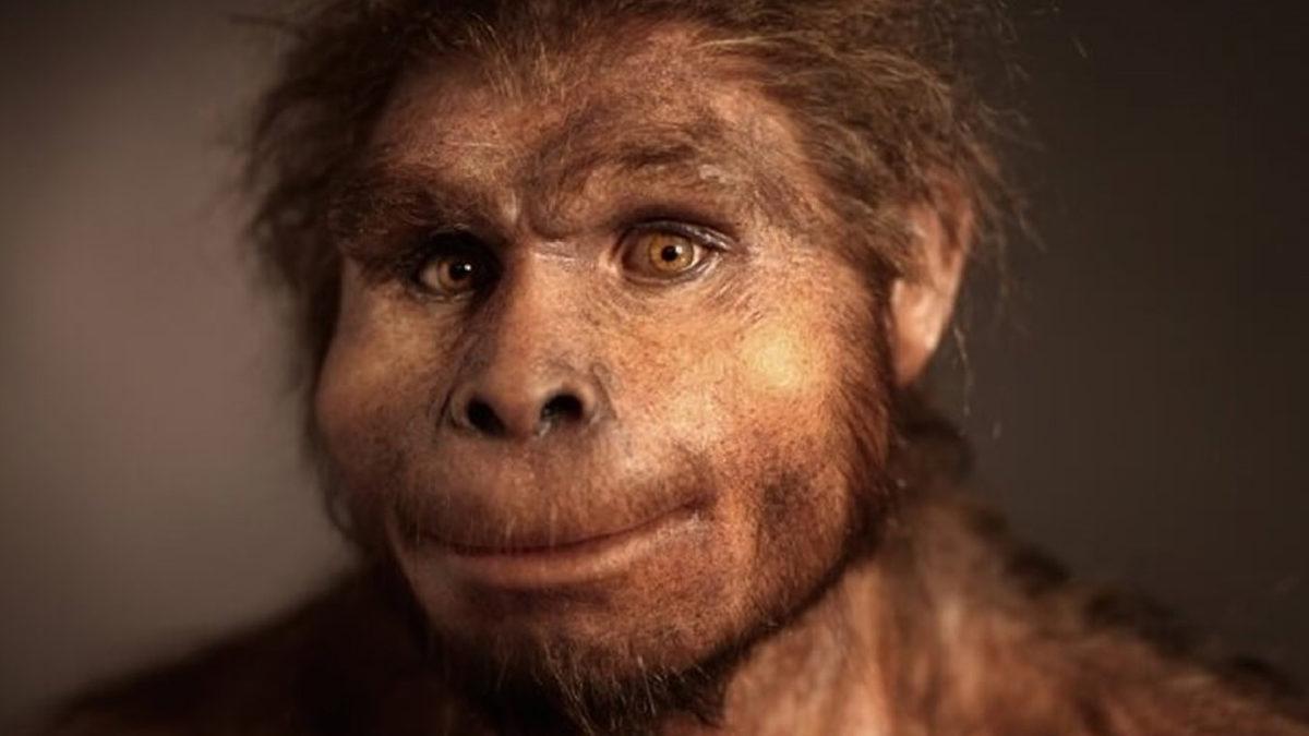 İnsanların Ten Rengi Kumral, Sarışın, Esmer Şeklinde Ayrılmadan Önce Hangi Tek Renge Sahipti?