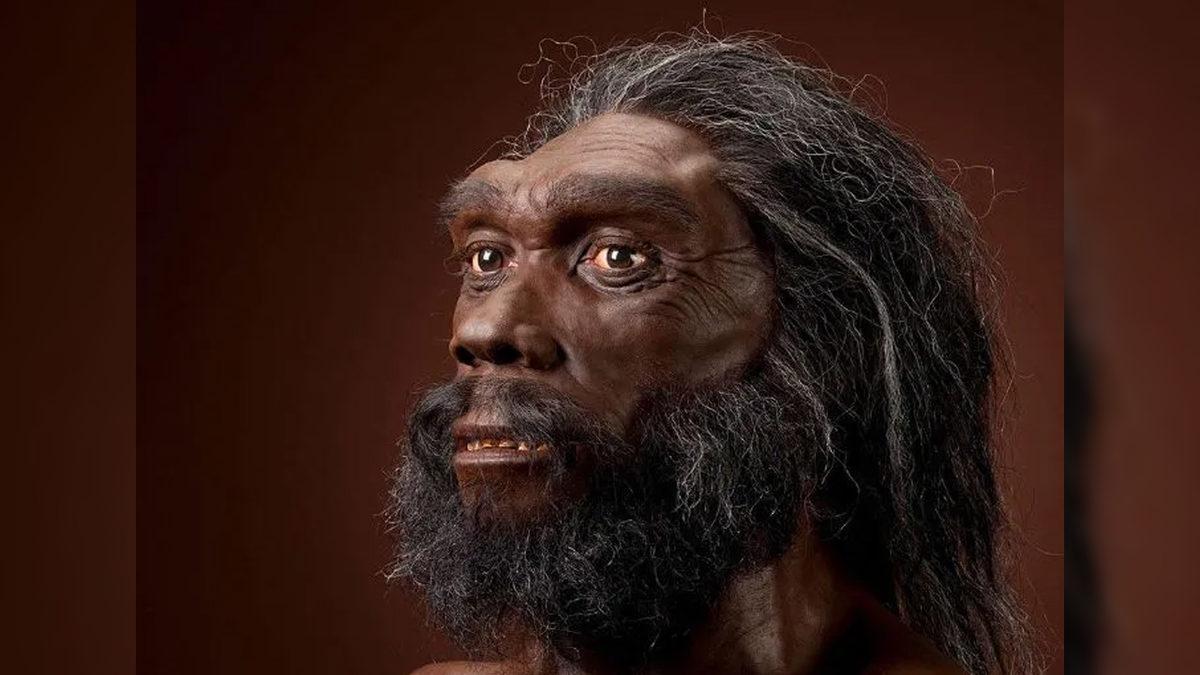 İnsanların Ten Rengi Kumral, Sarışın, Esmer Şeklinde Ayrılmadan Önce Hangi Tek Renge Sahipti?