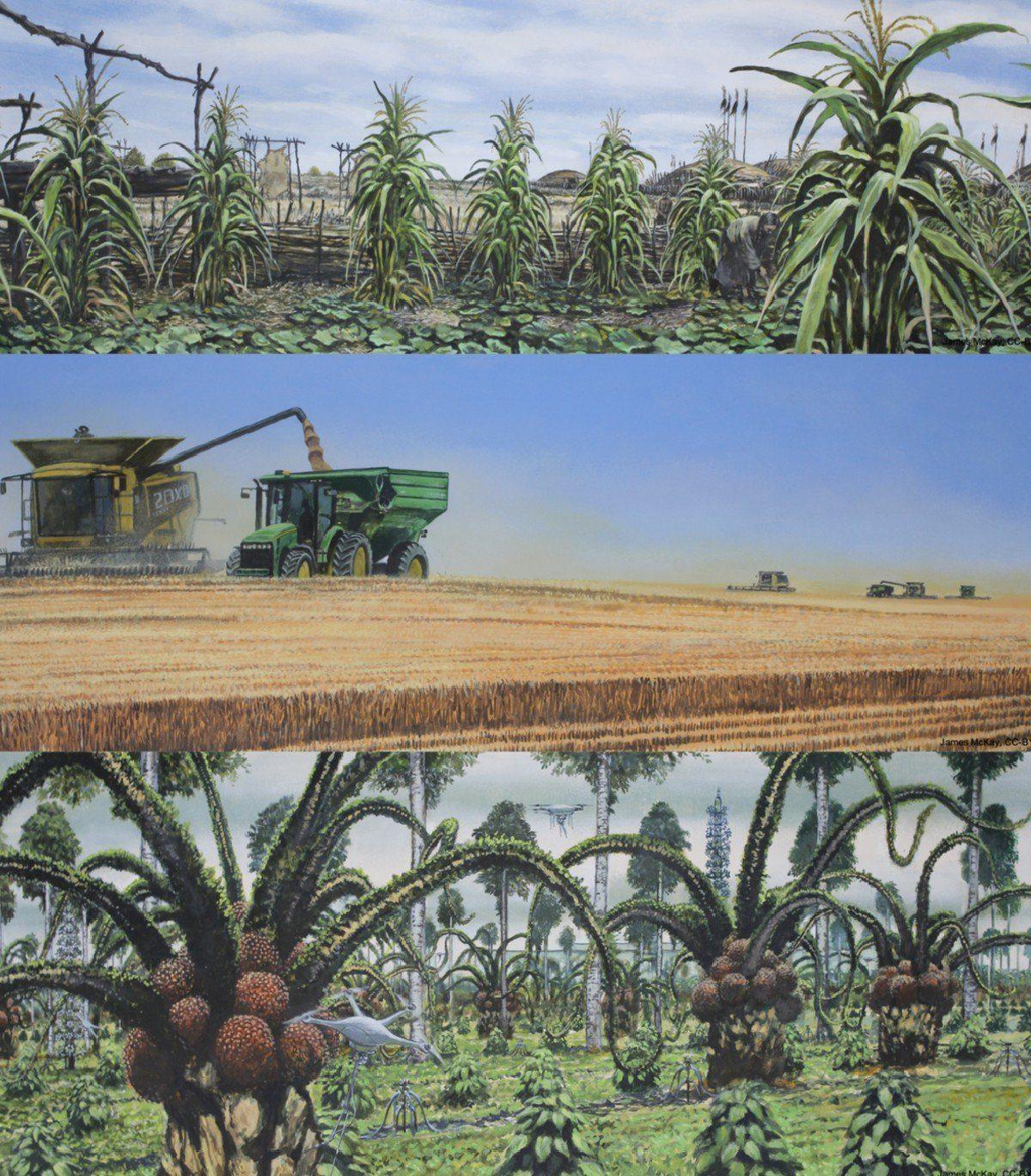 Bilim İnsanlarından Ürkütücü Tahmin: Dünya, 2500 Yılında İnsanlar İçin Bir Cehenneme Dönüşecek