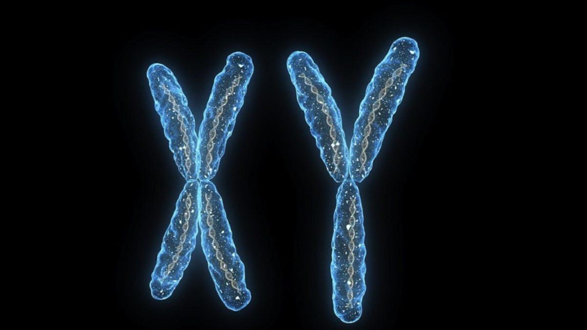 Akraba Evliliği  Neden Hastalıklı Çocuklara Neden Olur?