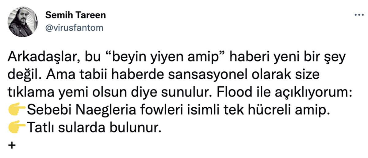 Sürekli Gündeme Gelen ’Beyin Yiyen Amip’ Haberlerine İşin Uzmanından Yanıt: Tehlikede miyiz?