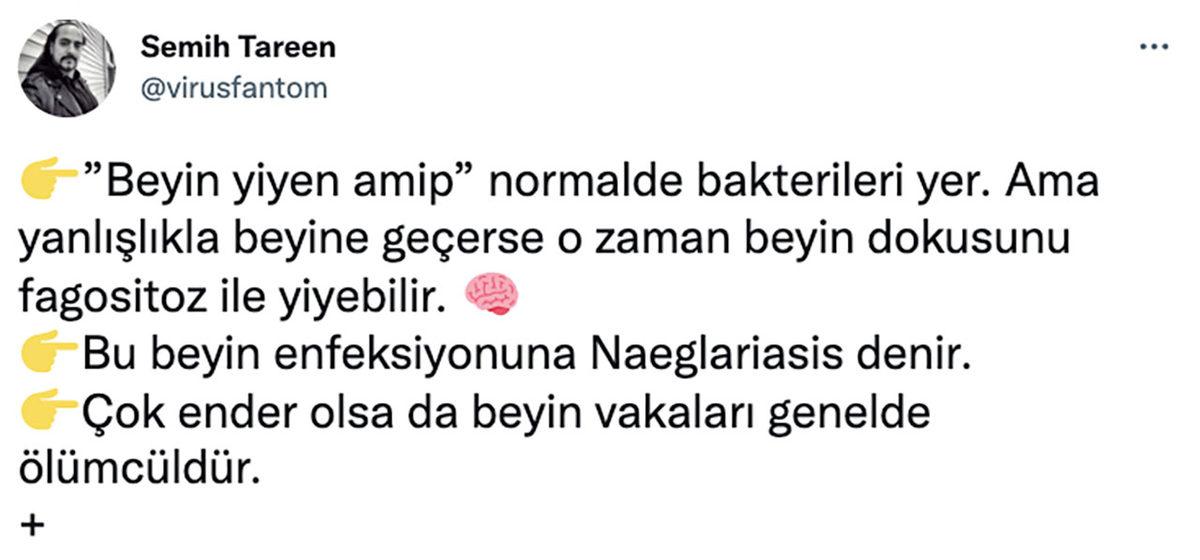 Sürekli Gündeme Gelen ’Beyin Yiyen Amip’ Haberlerine İşin Uzmanından Yanıt: Tehlikede miyiz?