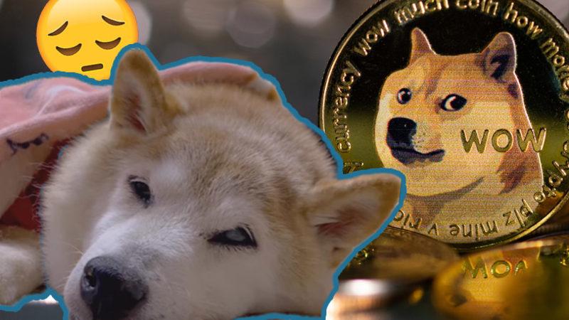 Dogecoin Logosuna İlham Olan Köpek ’Kabosu’, Kansere Yakalandı