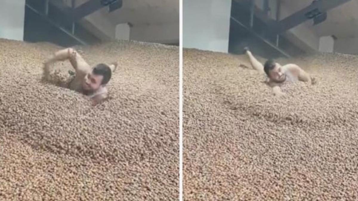 Fındık İçinde ’Yüzdüğü’ TikTok Videosu ile Viral Olan Adam Hakkında Soruşturma