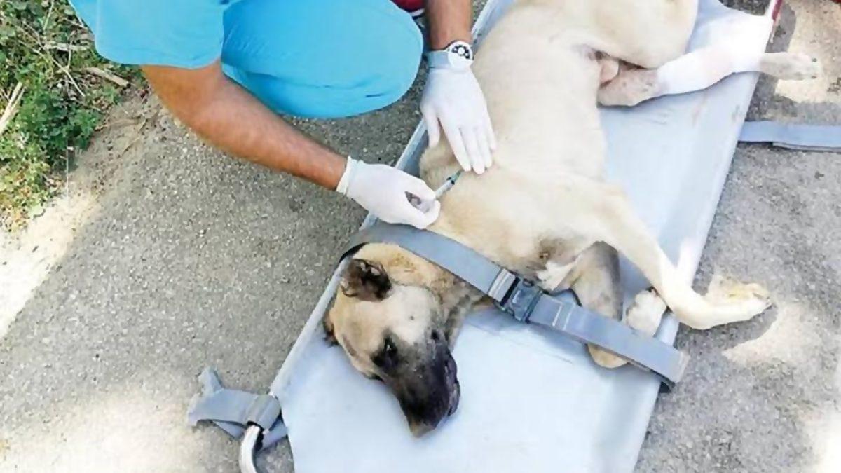 Fake Hesapla Birini İşletmek Suç mu? Bu ve Bunun Gibi Pek Çok Hukuki Konuda Merak Ettiklerinizi Açıklıyoruz