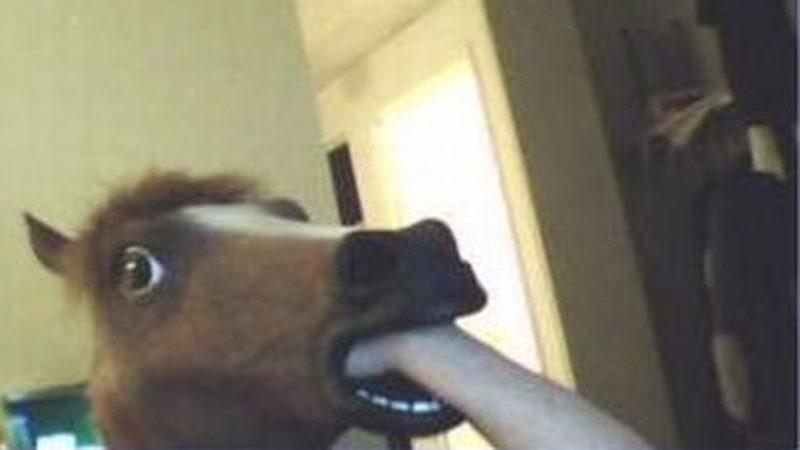 Karşınıza Her An At Kafası Çıkabilen Uygulama Chatroulette’de Yaşanan En Saçma Olaylar