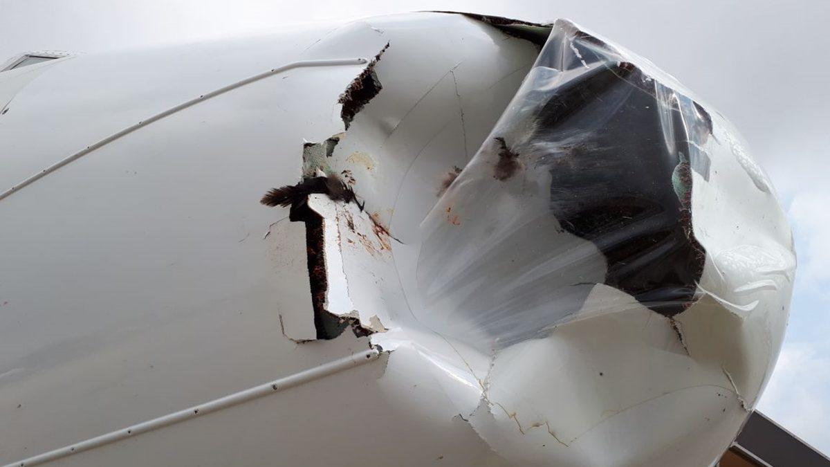 Devasa Bir Uçak Motoru Nasıl Oluyor da Küçücük Bir Kuşun Çarpmasıyla Bile Bozulabiliyor?