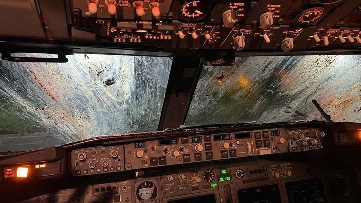 Devasa Bir Uçak Motoru Nasıl Oluyor da Küçücük Bir Kuşun Çarpmasıyla Bile Bozulabiliyor?