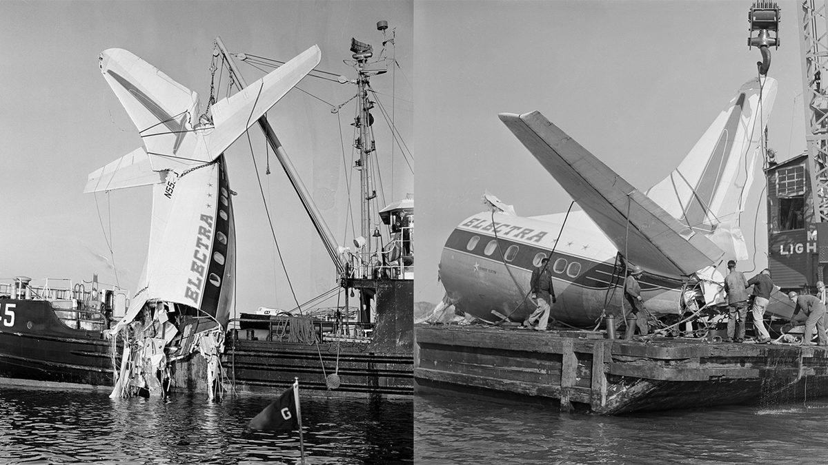 Devasa Bir Uçak Motoru Nasıl Oluyor da Küçücük Bir Kuşun Çarpmasıyla Bile Bozulabiliyor?