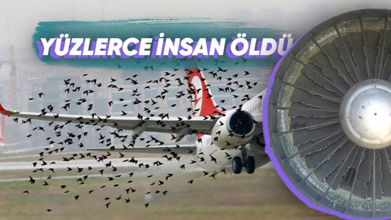 Devasa Bir Uçak Motoru Nasıl Oluyor da Küçücük Bir Kuşun Çarpmasıyla Bile Bozulabiliyor?