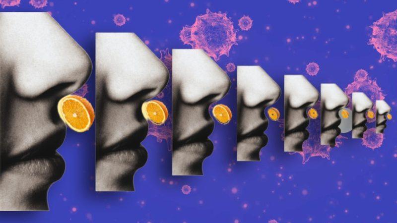 COVID-19’u Atlatanlarda Görülen ’Kalıcı Koku Kaybının’ Sebebi Tespit Edildi: Yıllarca Geri Gelmeyebilir...