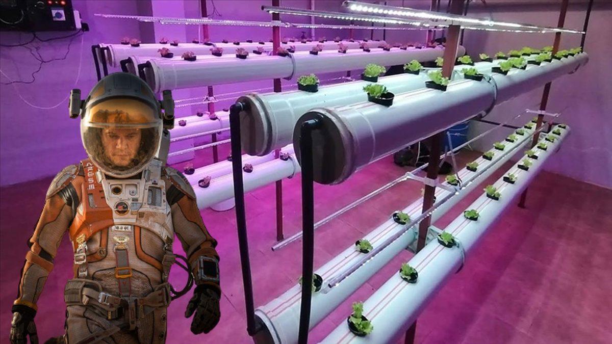 Bekle Bizi Mars: Türk Öğrenciler, Topraksız ve İnsansız Tarım Sistemi Geliştirdi