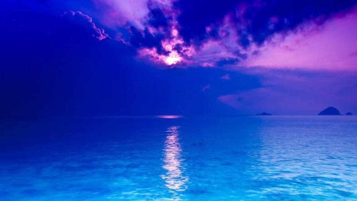 Biraz Huzur Arayanlara: Kendinizi Okyanusun Ortasında Hissetmenizi Sağlayan İnternet Sitesi