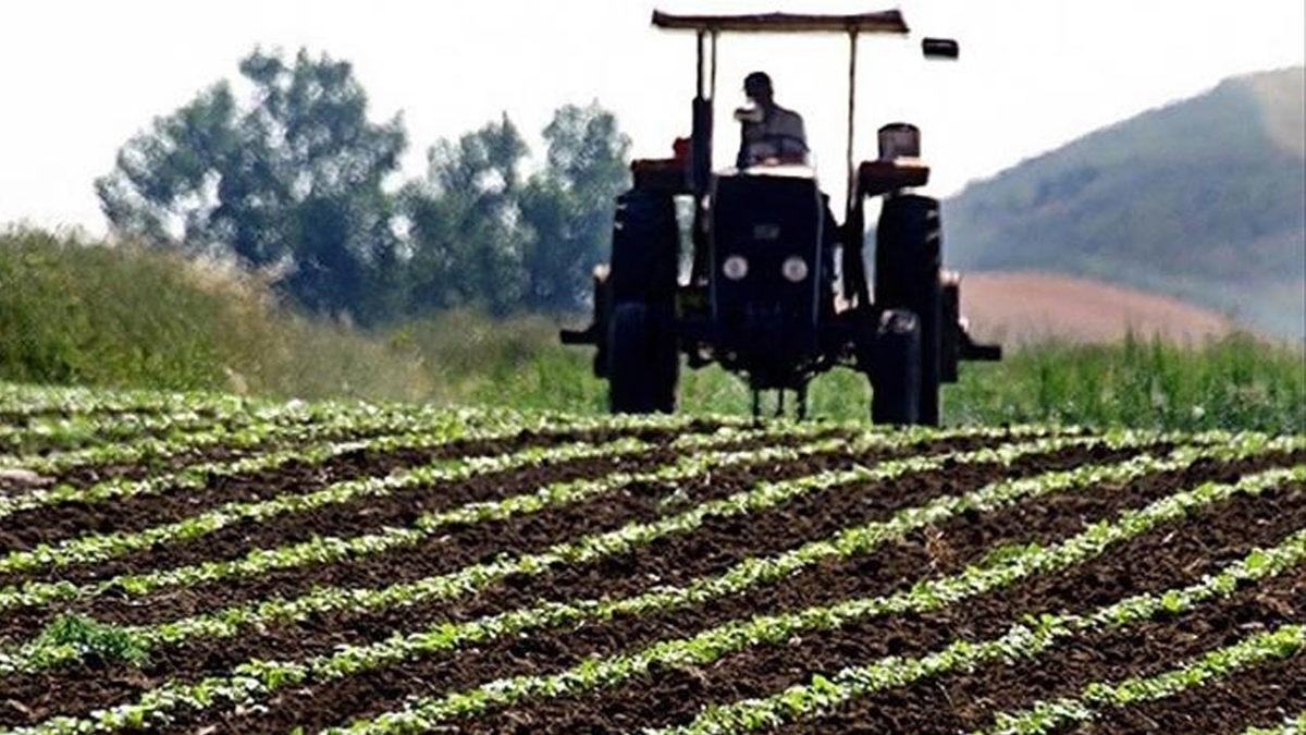 Türkiye Genelinde 1000 Adet Açılacak ‘Kooperatif Marketlerin’ Diğer Marketlerden Ne Farkı Var?