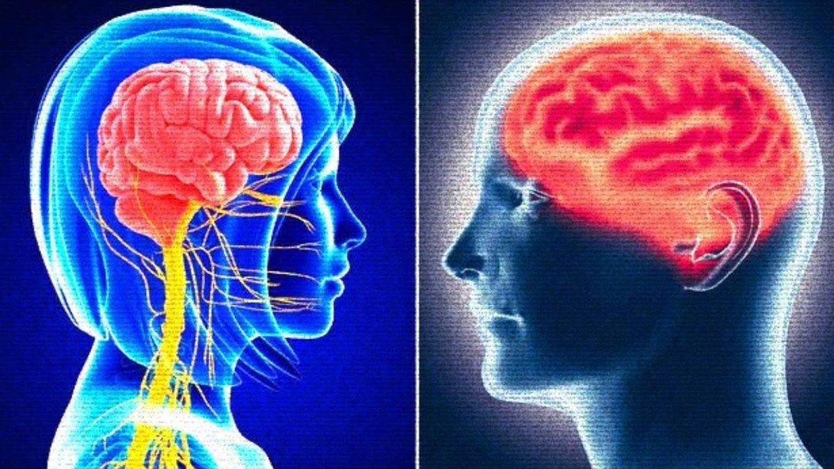 Cinselliği Dış Görünüşten Çok Zeka ile Özdeşleştiren ’Sapyoseksüel’ Bireylerin Ortak Özellikleri