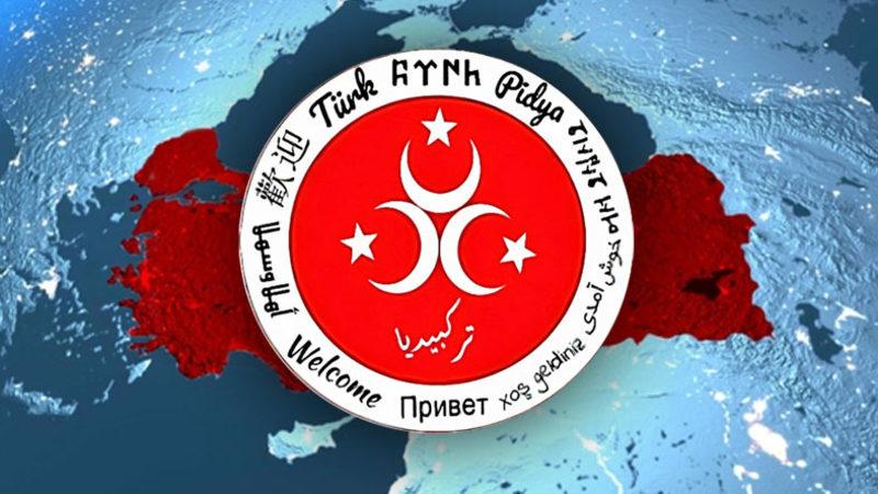 Türk Asıllı Bir Mısırlı Genç, 2 Milyon Kelimelik ‘Türkiye Ansiklopedisi’ Oluşturdu