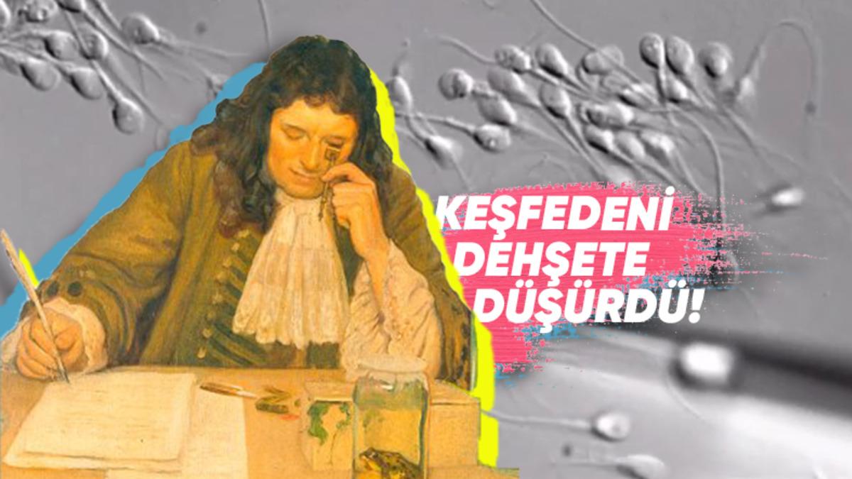 Tiksindirici Bulunduğu İçin Kimsenin Araştırmak İstemediği "Spermler" Nasıl Keşfedildi ve Ne Tepkiler Verildi?