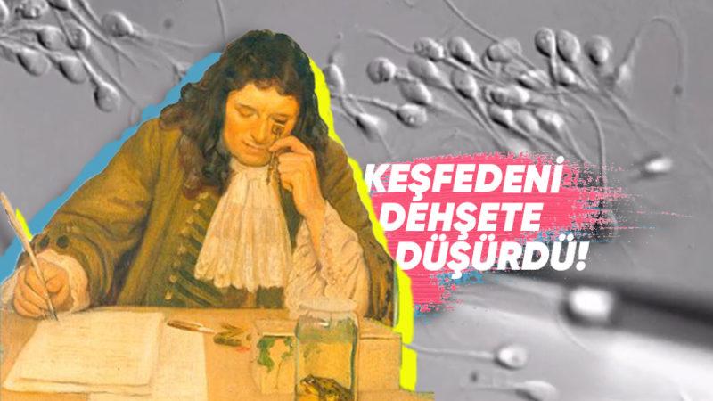 Tiksindirici Bulunduğu İçin Kimsenin Araştırmak İstemediği "Spermler" Nasıl Keşfedildi ve Ne Tepkiler Verildi?