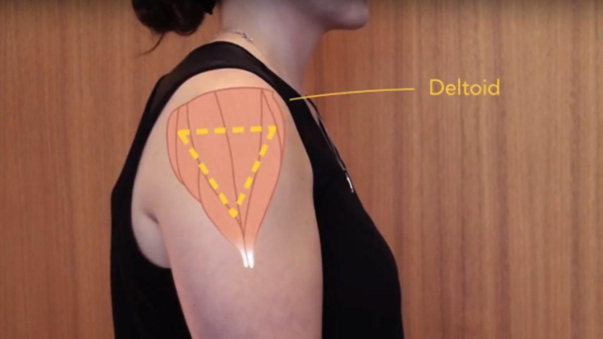 Aşı Neden Genellikle Kalçadan veya Başka Bir Yerden Değil de Omuzdan Yapılır?