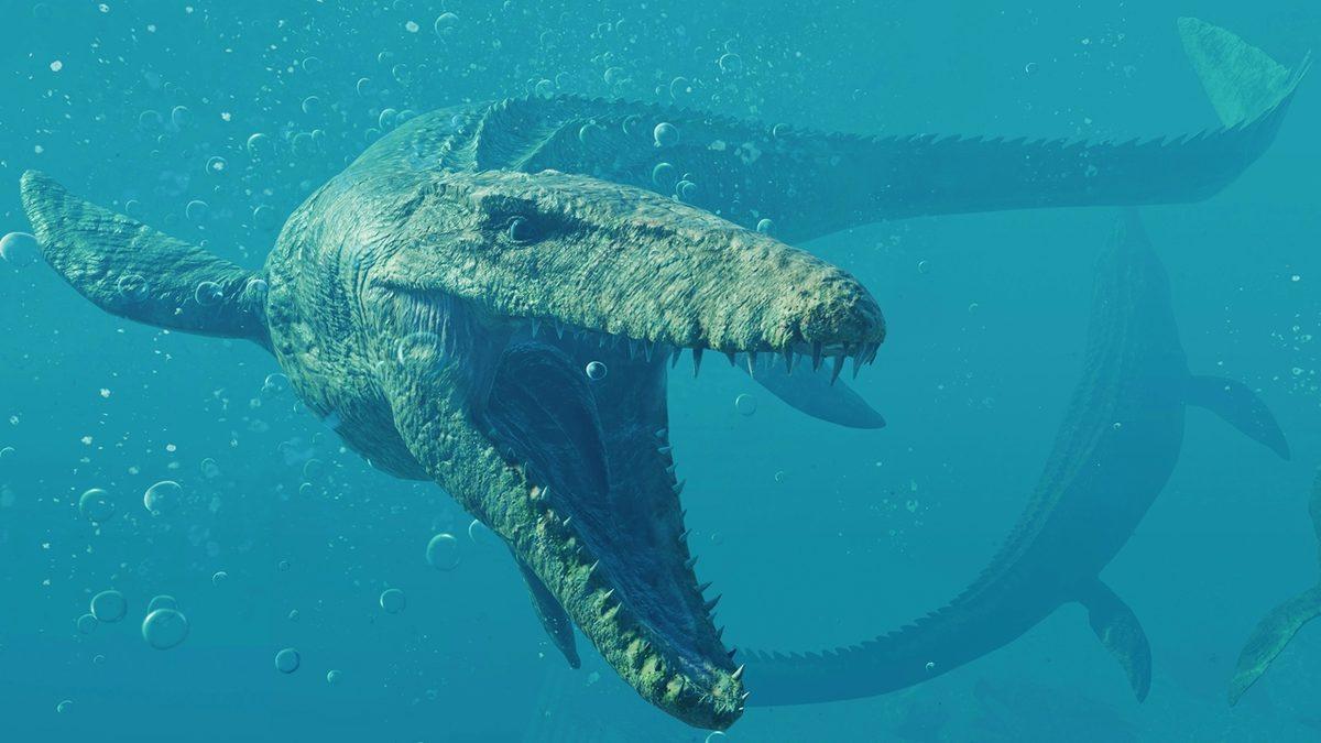 1999 Yılında Kastamonu’da Bulunan Bu İlginç Canlı Neyin Nesiydi?