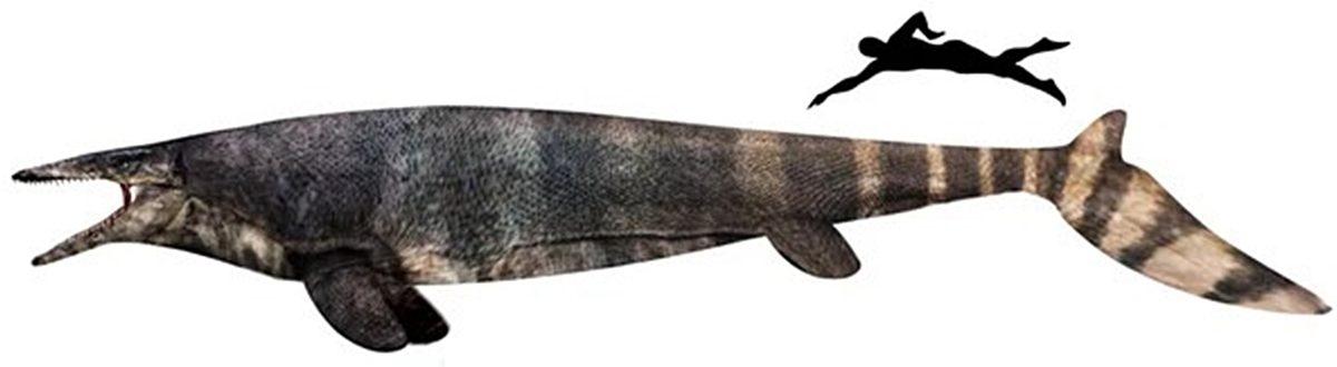 1999 Yılında Kastamonu’da Bulunan Bu İlginç Canlı Neyin Nesiydi?