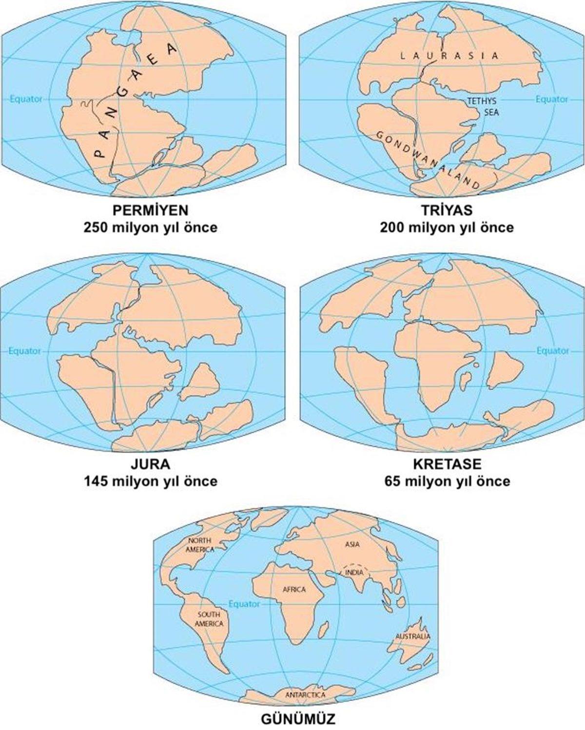 1999 Yılında Kastamonu’da Bulunan Bu İlginç Canlı Neyin Nesiydi?