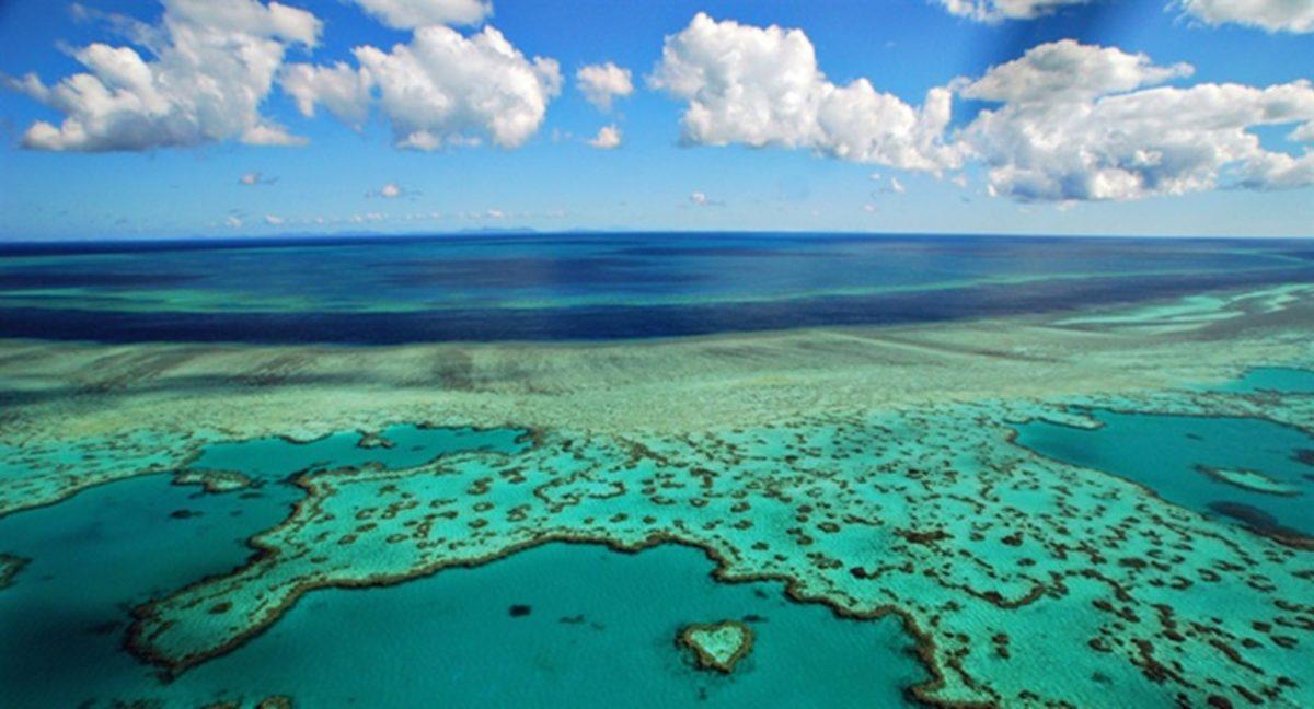 Avustralya’nın Meşhur Set Resifini Yok Etmek Üzereyiz
