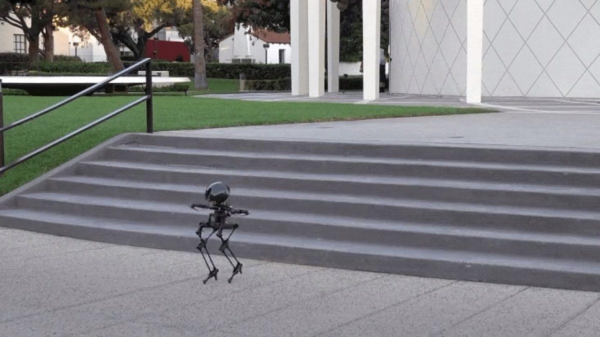 Bacak Kadar Boyu Var, Türlü Türlü Huyu Var: Uçabilen Minik Robot LEO ile Tanışın