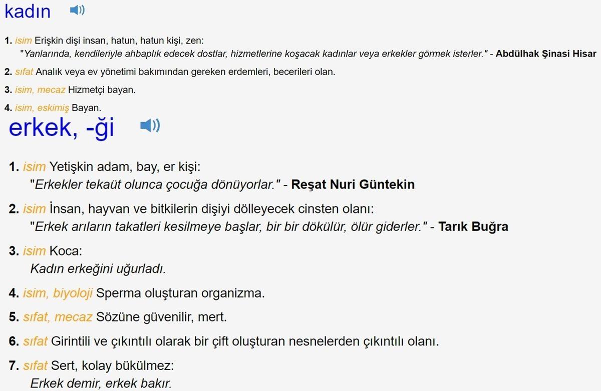 ’Kadın’ Hakkında ’Yollu, Oynak, Kirli’ Gibi İfadeler Kullanan TDK, Sosyal Medyada Tepki Çekmeye Devam Ediyor