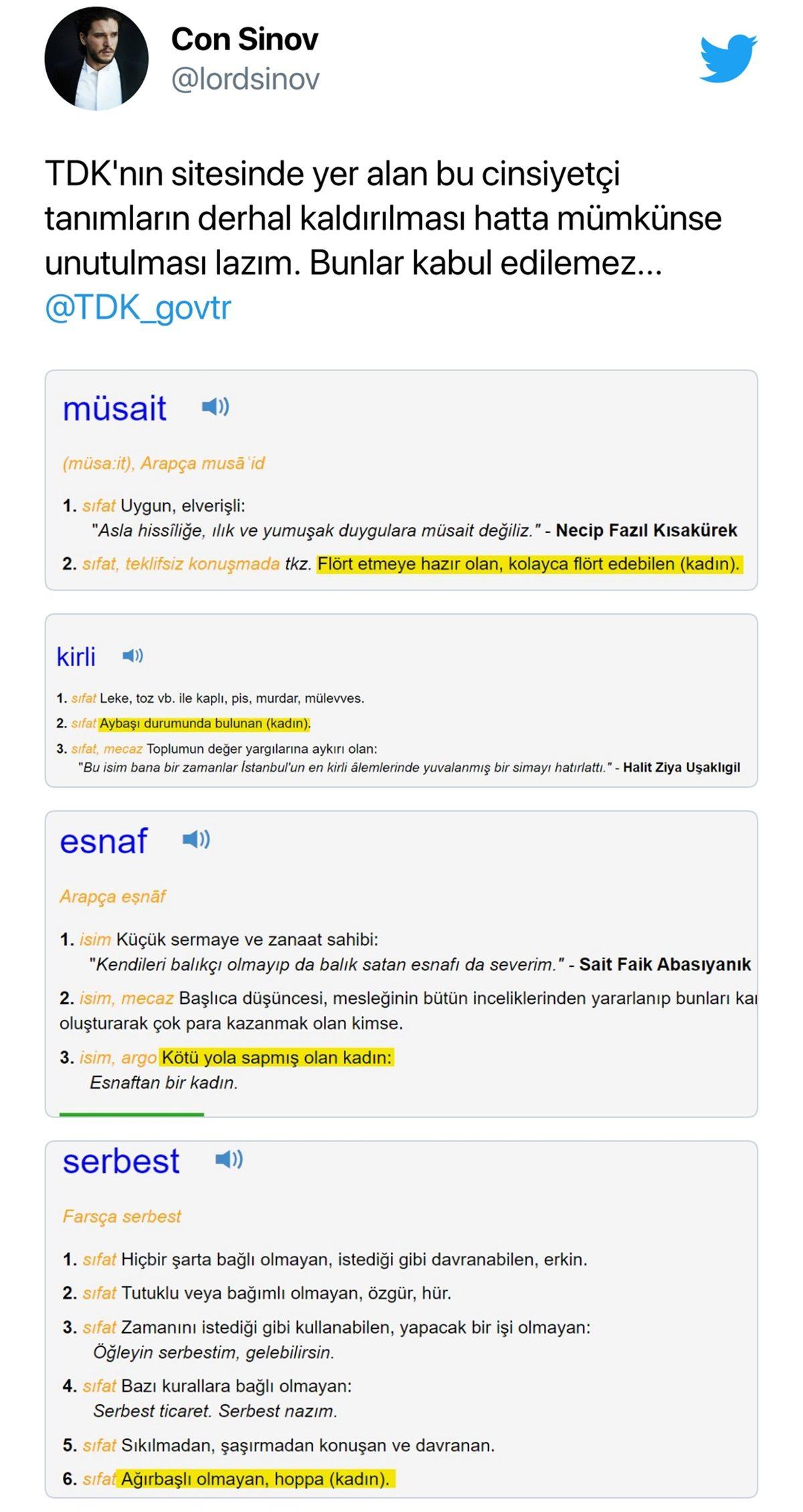 ’Kadın’ Hakkında ’Yollu, Oynak, Kirli’ Gibi İfadeler Kullanan TDK, Sosyal Medyada Tepki Çekmeye Devam Ediyor