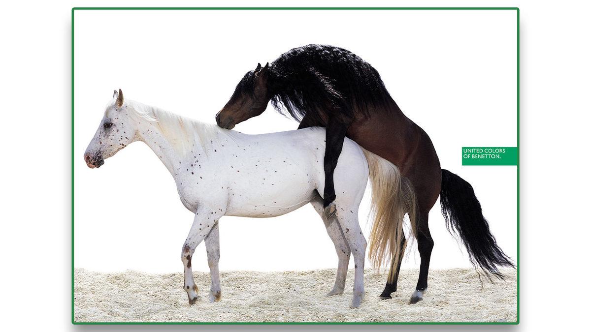 Reklam Çalışmalarıyla Ortalığı Birbirine Katan Fotoğrafçı Oliviero Toscani’nin Bünyenizde Şok Etkisi Yaratacak Çarpıcı İşleri