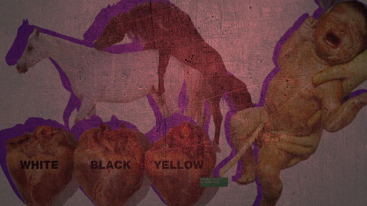 Reklam Çalışmalarıyla Ortalığı Birbirine Katan Fotoğrafçı Oliviero Toscani’nin Bünyenizde Şok Etkisi Yaratacak Çarpıcı İşleri