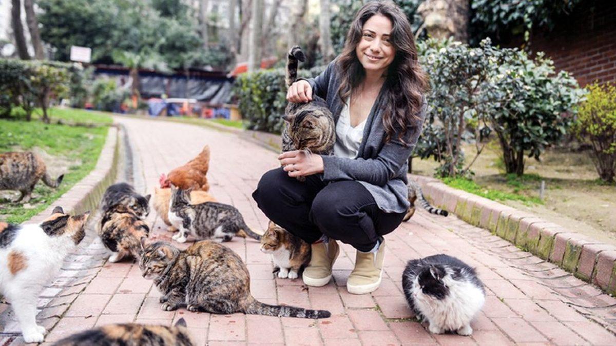 Apartman Bahçesinde Beslediğiniz Kedilerden Rahatsız Olan Komşunuzu Nasıl Savuşturabilirsiniz?