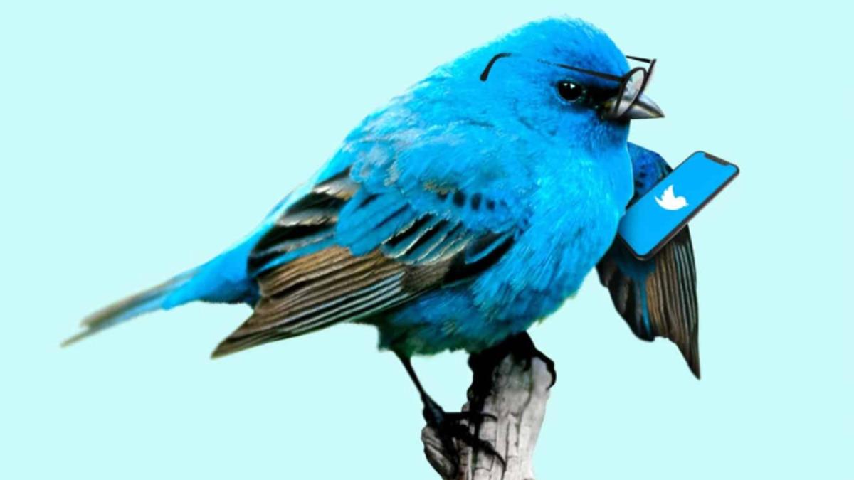 Yapmayın Guzum Tartışmayın: Twitter Hararetli Tartışmalar Konusunda Kullanıcıları Uyaracak Bir Özelliği Deniyor