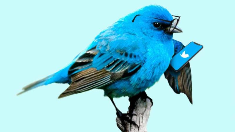 Yapmayın Guzum Tartışmayın: Twitter Hararetli Tartışmalar Konusunda Kullanıcıları Uyaracak Bir Özelliği Deniyor