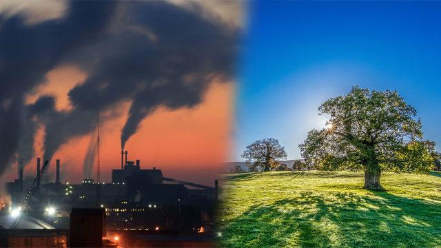 Tarihte Bir İlk: Birleşmiş Milletler, ’Sağlıklı ve Temiz Çevrenin’ İnsan Hakkı Olduğunu Kabul Etti