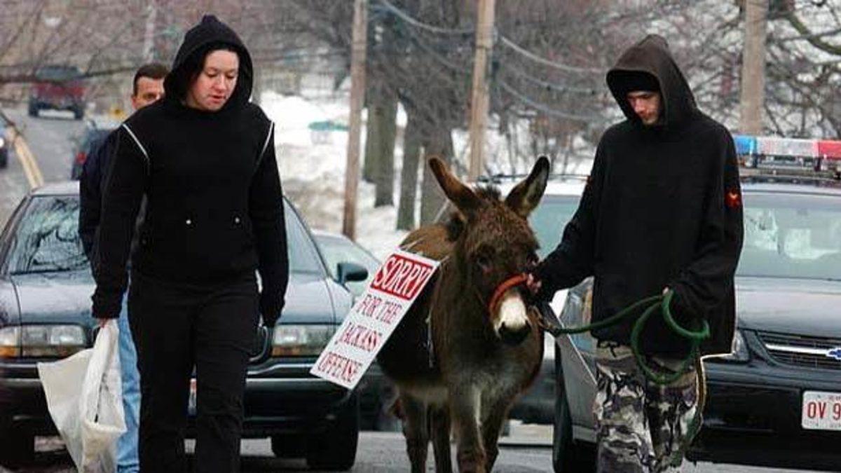 Karar Verildi Yaz Kızım: Mahkemelerde Verilen 10 Tuhaf Ceza