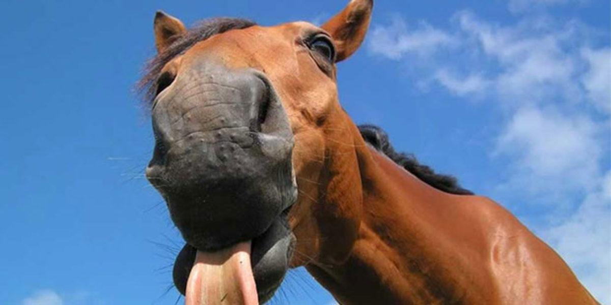 Karar Verildi Yaz Kızım: Mahkemelerde Verilen 10 Tuhaf Ceza