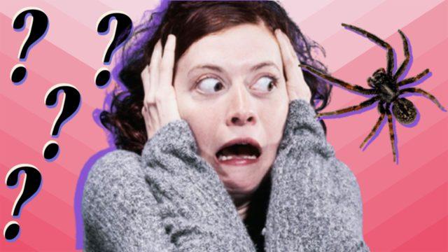 Kadınlar Erkeklere Kıyasla Neden Bir Şeylerden Dört Kat Daha Fazla Korkar?