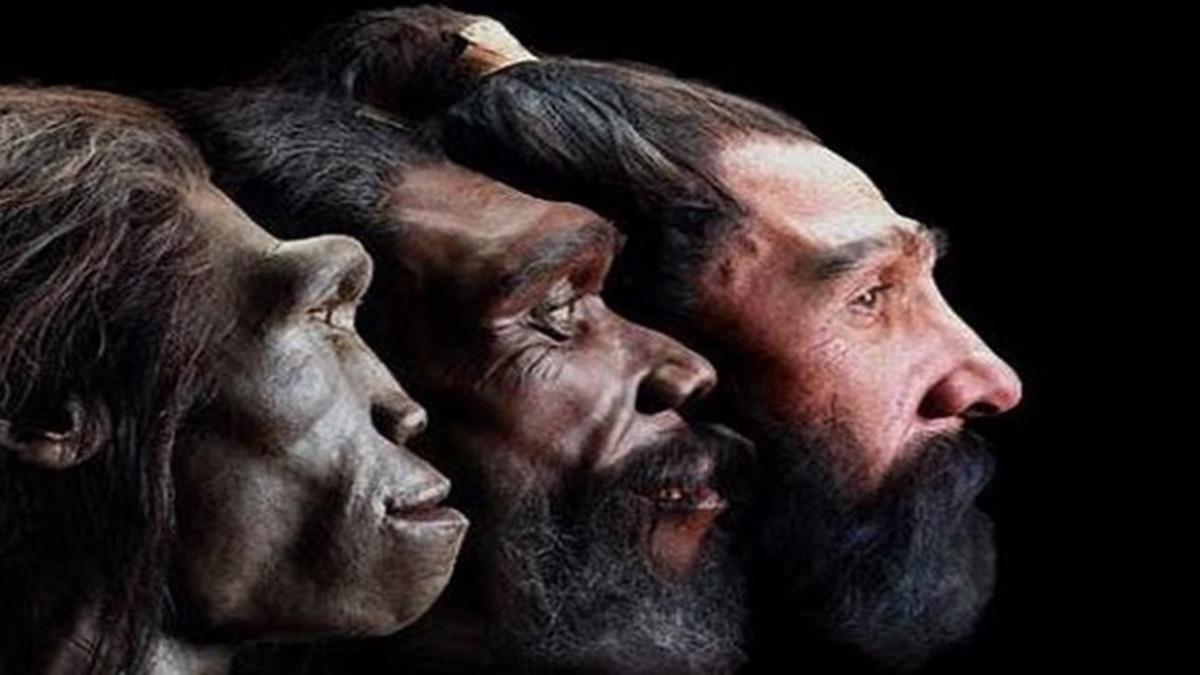 Erkekler Süt Üretiyor mu:  İnsan Evrimi Hakkında 10 Büyüleyici Gerçek